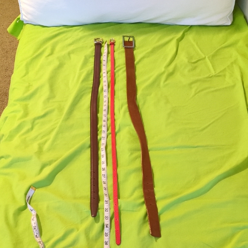 Ann Taylor Orange And Calvin Klein Brown Belts S All Genuine Leather 3 For $18